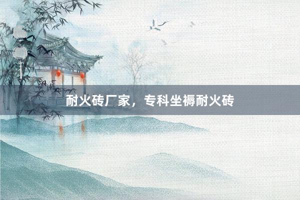耐火砖厂家，专科坐褥耐火砖