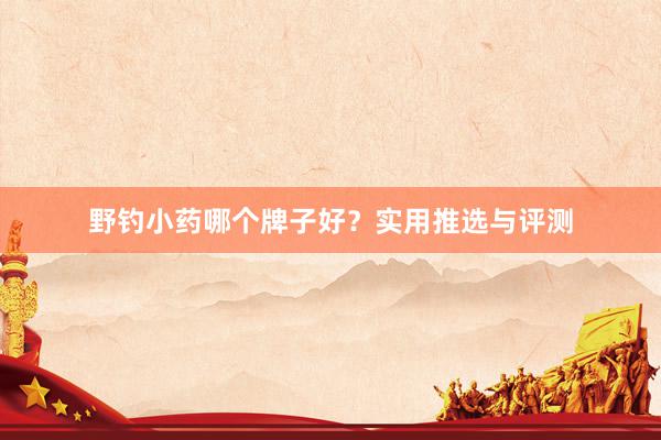 野钓小药哪个牌子好？实用推选与评测